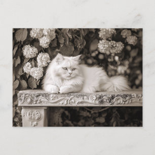 Vit Katt i Blomsterträdgården Vykort