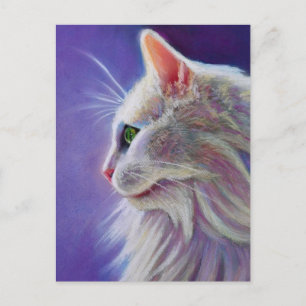 Vit katt i profil vykort