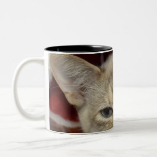 Vit katt i röd julhatt kaffemugg