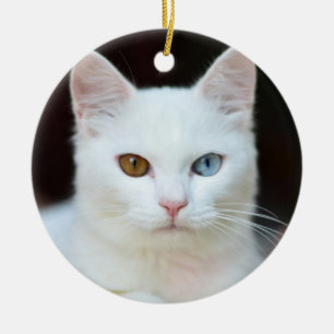 Vit Katt Julgransprydnad Keramik