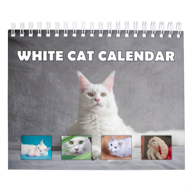 Vit Katt Kalender (Omslag)
