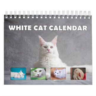 Vit Katt Kalender