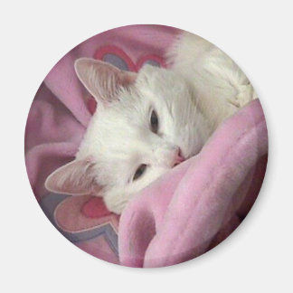 Vit Katt Magnet
