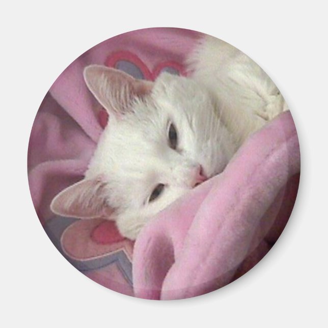Vit Katt Magnet (Framsidan)