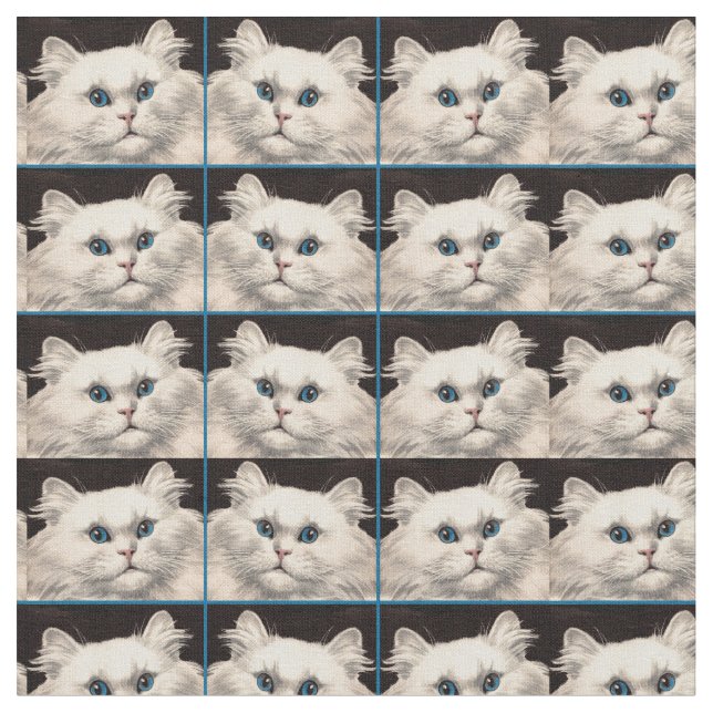 vit katt med blå öga tyg (Närbild)