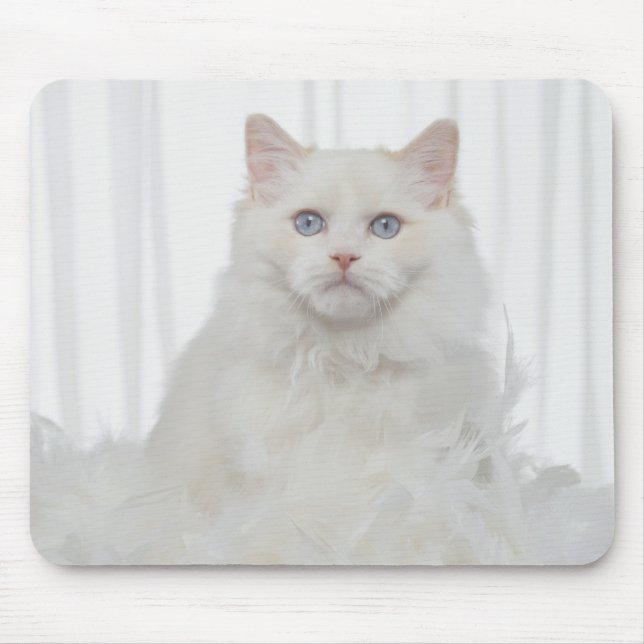 Vit katt med fjädrar musmatta (Framsidan)