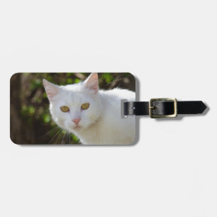 Vit Katt med Gult Öga Bagagebricka