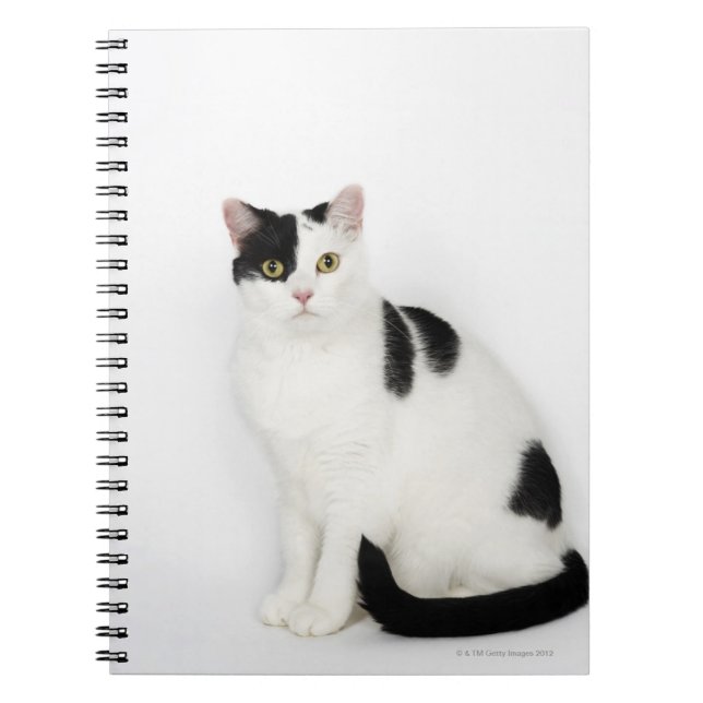 Vit katt med svarta prickar anteckningsbok (Framsidan)
