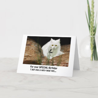 vit katt och drakfluga, födelsedagstext ... kort