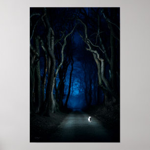 Vit katt på Canopy Road Poster du Art Print