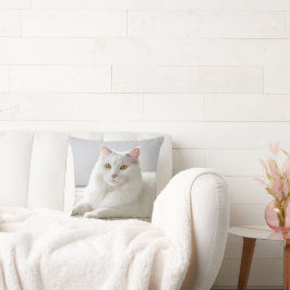 Vit katt på vit matta kudde