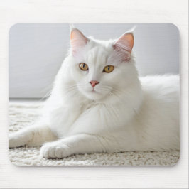 Vit katt på vit matta musmatta