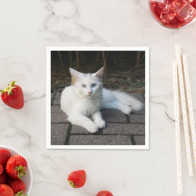 Vit Katt Pappersservett (Insitu)
