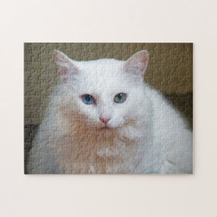 Vit katt pussel