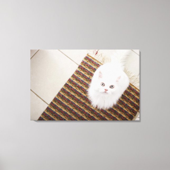 Vit katt sitta på mat canvastryck (Framsida)