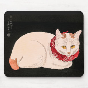 Vit katt - Takahashi Shotei Musmatta