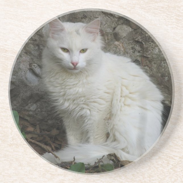 Vit katt Underlägg Sandsten (Framsidan)