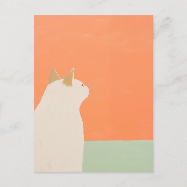 Vit katt vykort (Framsida)