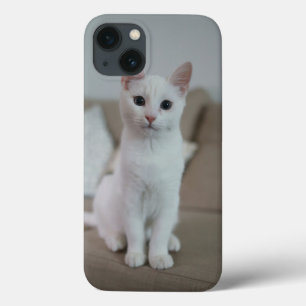 Vit katt   Zazzle_Growshop