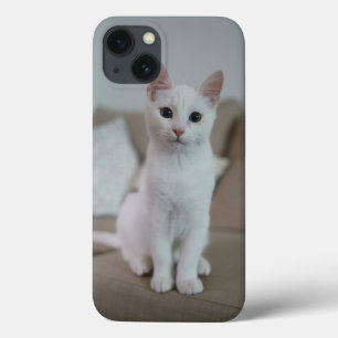 Vit katt   Zazzle_Growshop