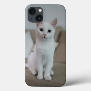 Vit katt Zazzle_Growshop