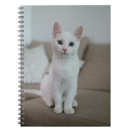 Vit katt | Zazzle_Growshop Anteckningsbok