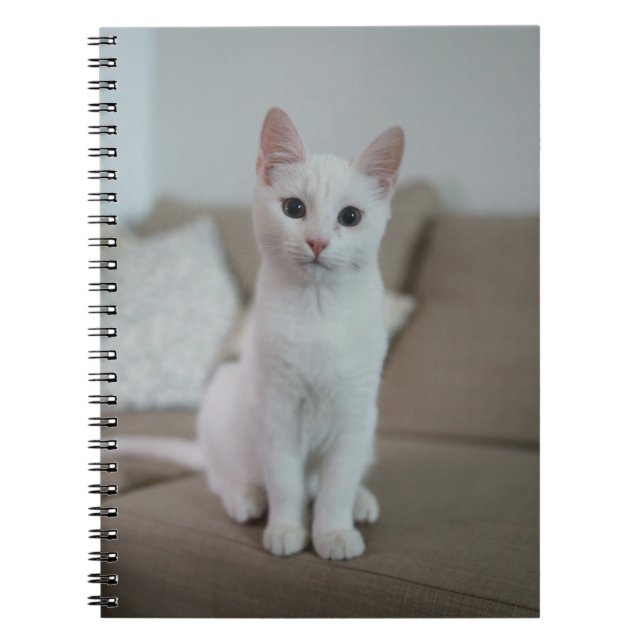Vit katt | Zazzle_Growshop Anteckningsbok (Framsidan)