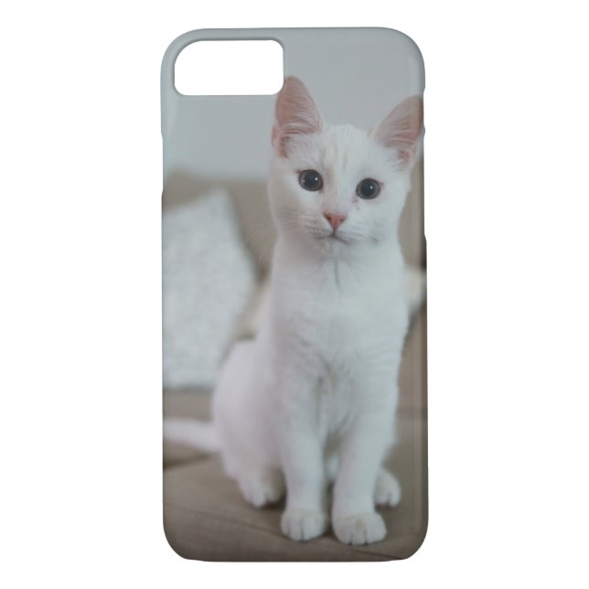 Vit katt | Zazzle_Growshop Case-Mate iPhone Skal (Baksida)