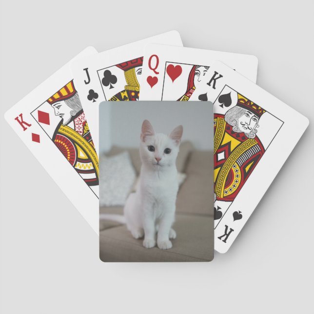 Vit katt | Zazzle_Growshop Casinokort (Baksidan)