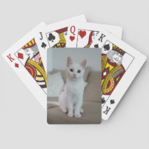 Vit katt | Zazzle_Growshop