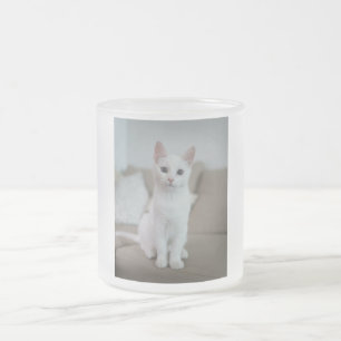 Vit katt   Zazzle_Growshop Frostad Glasmugg