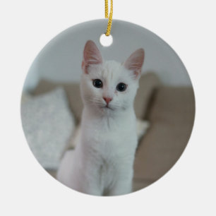 Vit katt   Zazzle_Growshop Julgransprydnad Keramik