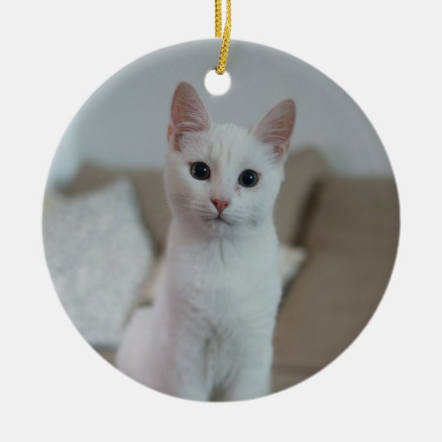 Vit katt | Zazzle_Growshop Julgransprydnad Keramik (Framsidan)