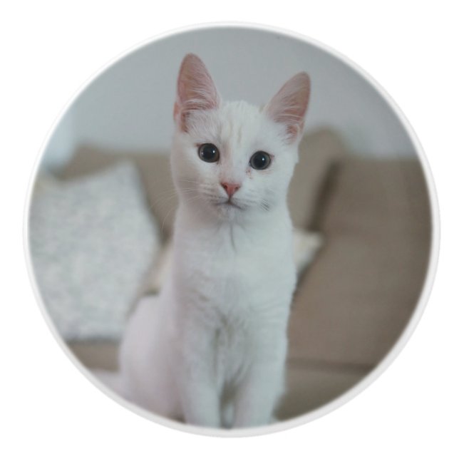 Vit katt | Zazzle_Growshop Knopp (Framsidan)