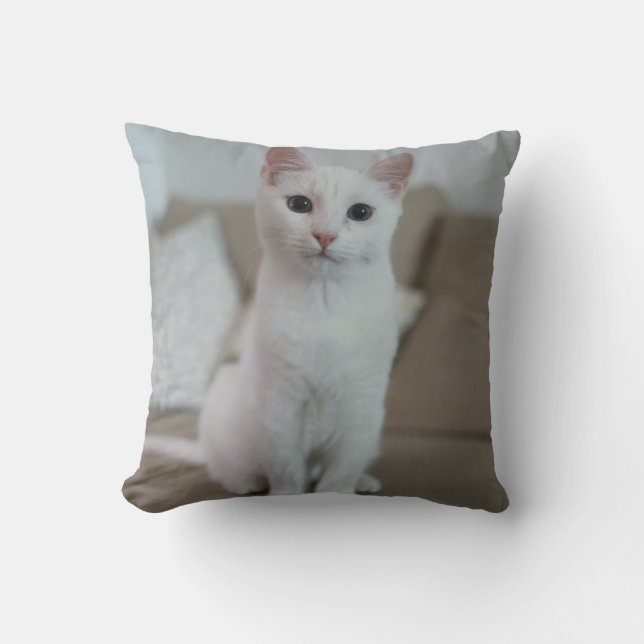 Vit katt | Zazzle_Growshop Kudde (Framsida)