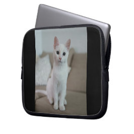 Vit katt | Zazzle_Growshop Laptop Fodral