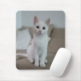 Vit katt | Zazzle_Growshop Musmatta