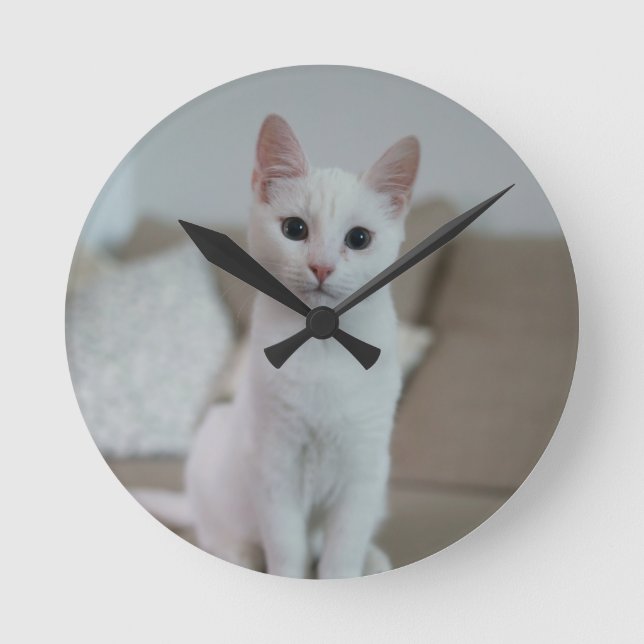 Vit katt | Zazzle_Growshop Rund Klocka (Framsida)