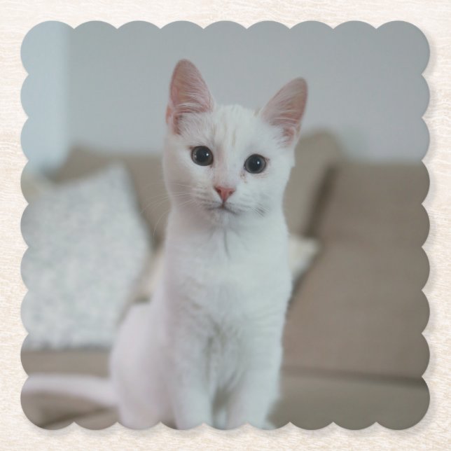 Vit katt | Zazzle_Growshop Underlägg Papper (Framsida)