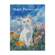 Vit kattenträning - vykort