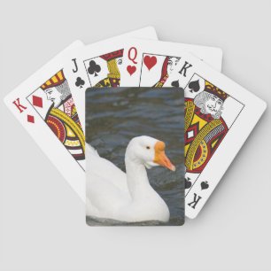 Vit kinesisk gås spel kort