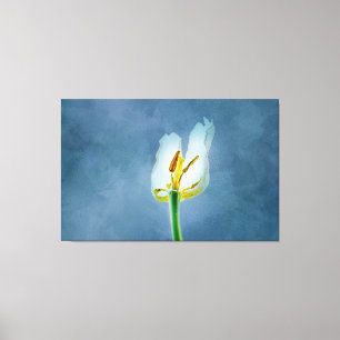Vit knölblomma canvastryck