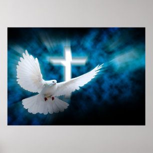 Vit Kor och Heliga i Mörken Himlar Poster