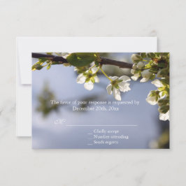 Vit körsbärsblomning OSA bröllop Kort