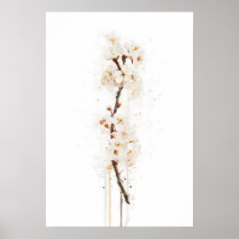 Vit Körsbärsblomning Poster