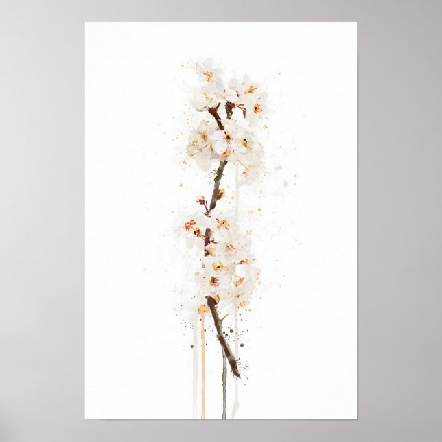 Vit Körsbärsblomning Poster (Framsidan)