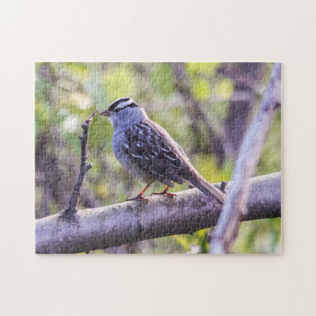 Vit-krönad Sparrow Pussel (Horisontell)