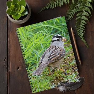 Vit-krönt Sparrow i Grass Anteckningsbok