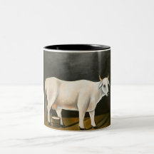 Vit kummel på svart bakgrund (husdjur)