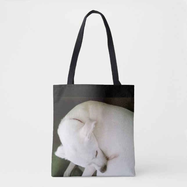 Vit Labrador Mix, vacker Elegant Polar Tygkasse (Framsida)